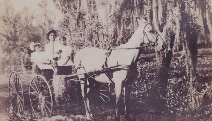 Carriage Ride