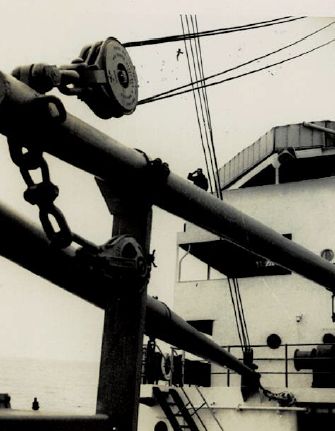Ship Beams